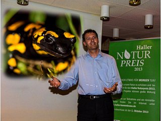 Feuersalamander überzeugte die Jury